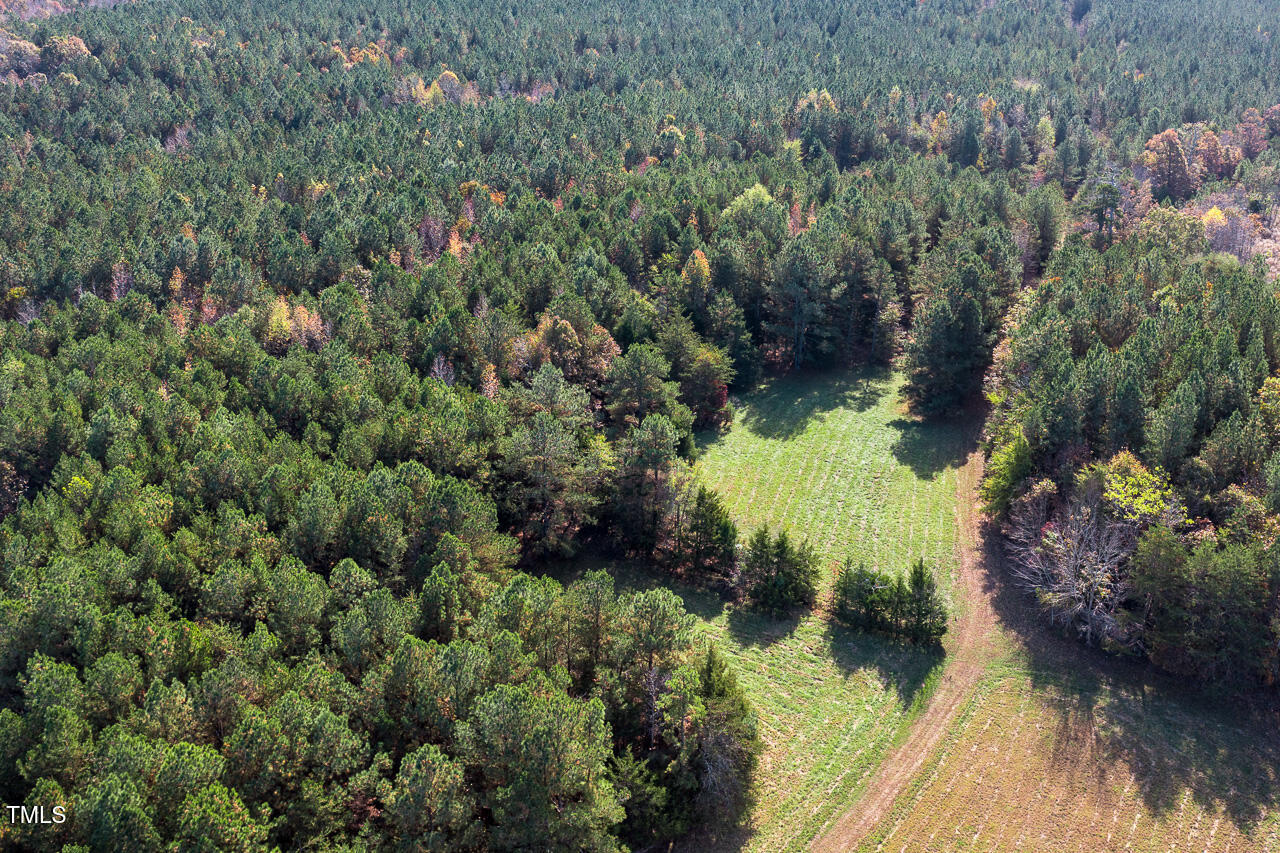 206 Pike Memory Lane Property Photo 17