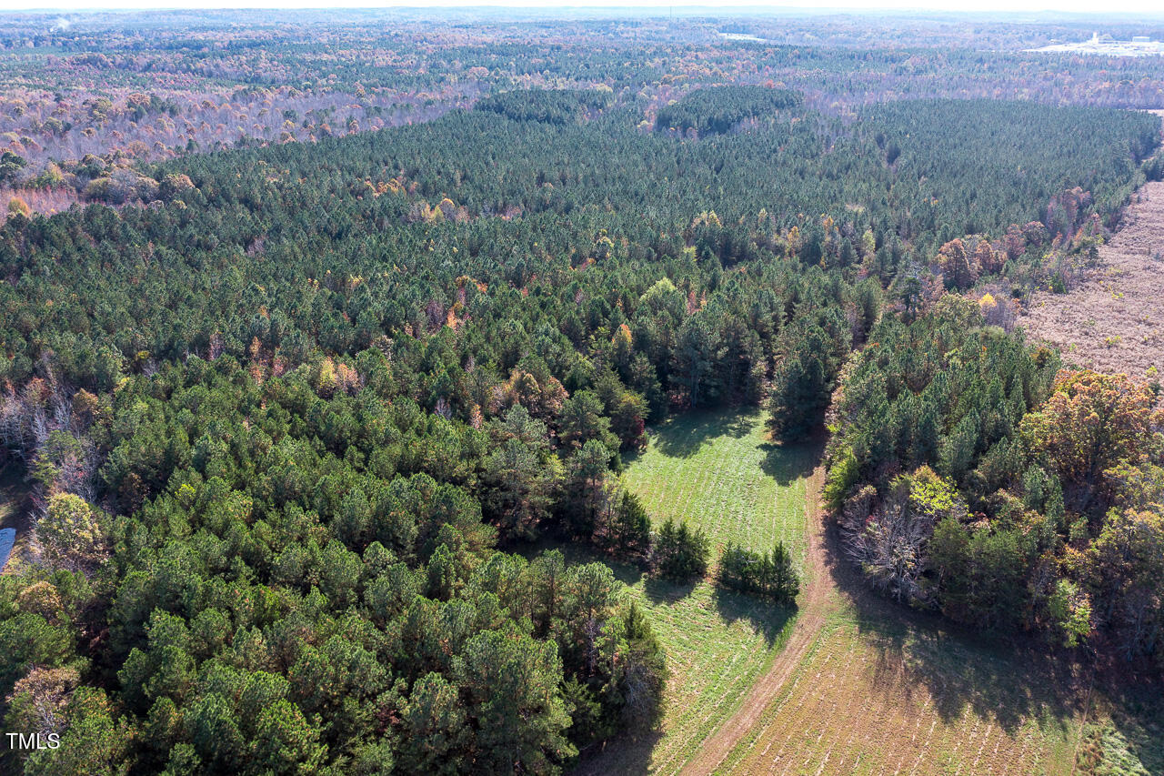 206 Pike Memory Lane Property Photo 18