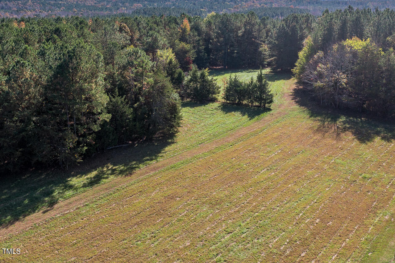206 Pike Memory Lane Property Photo 19