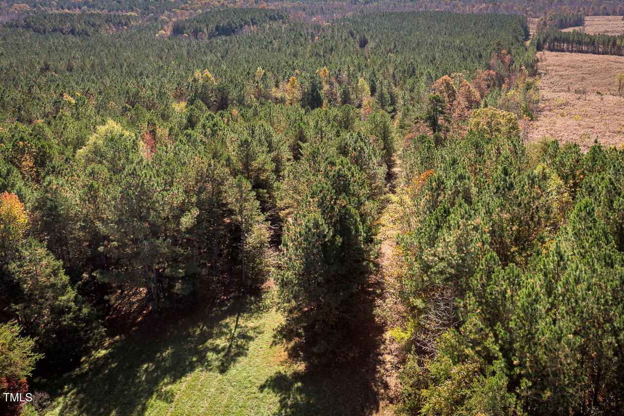 206 Pike Memory Lane Property Photo 30