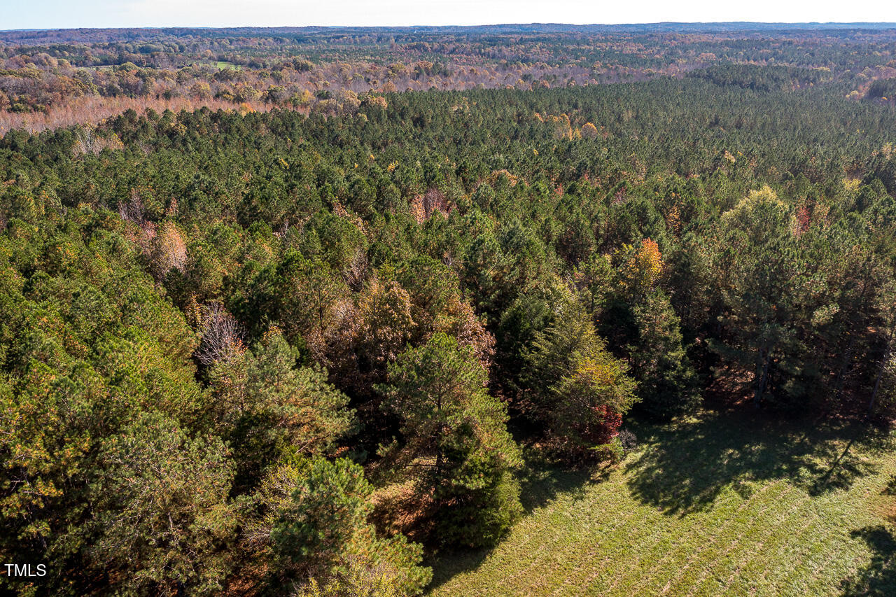 206 Pike Memory Lane Property Photo 32