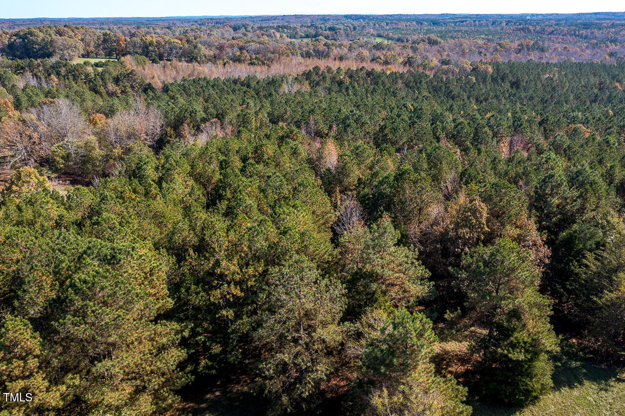 206 Pike Memory Lane Property Photo 33