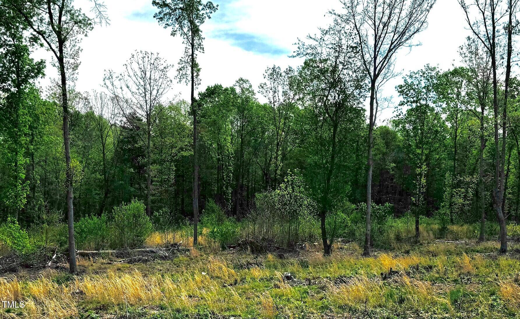 10 Conner Ridge Road Property Photo