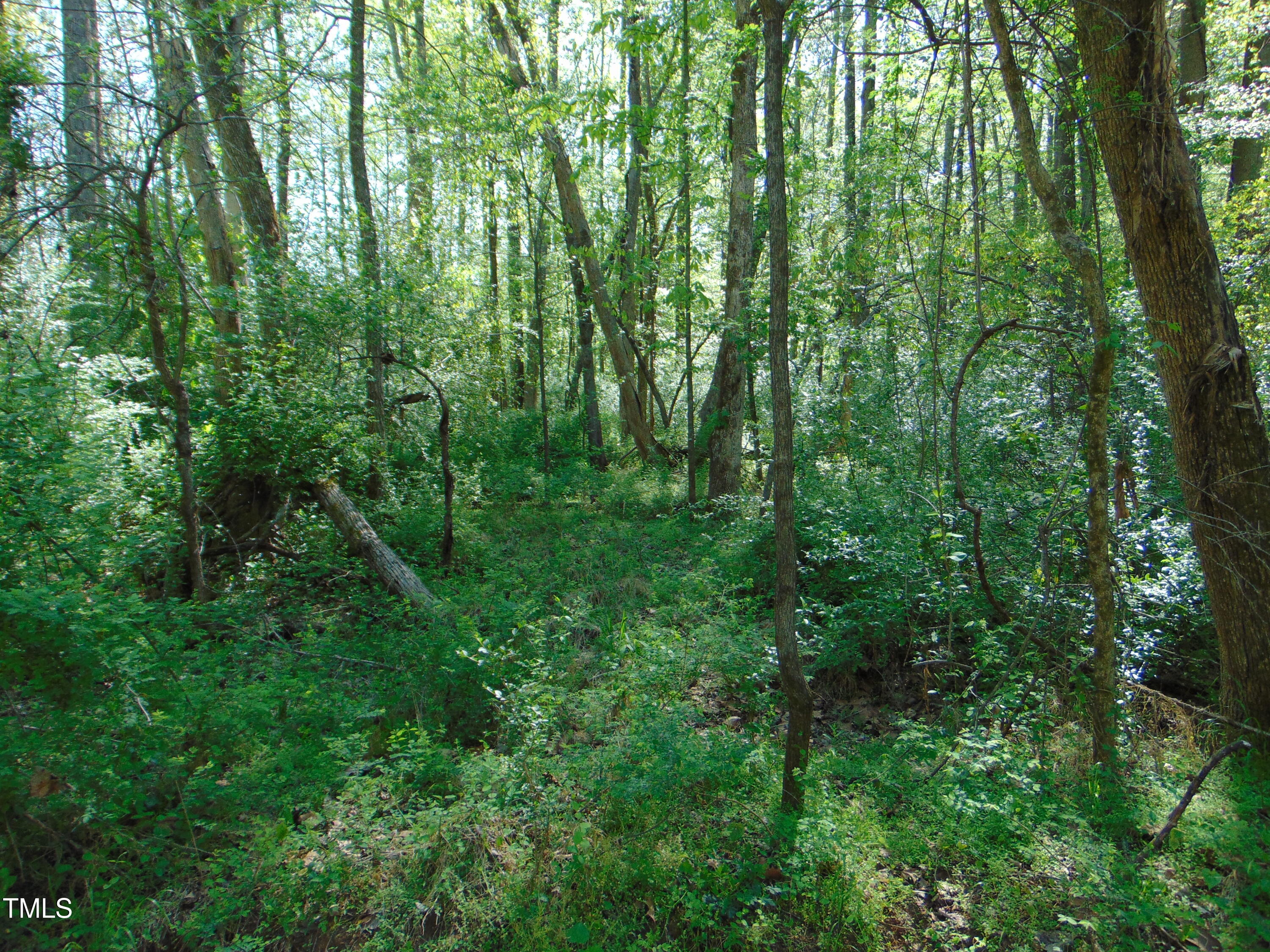 0 Saxapawhaw Bethlehem Church Rd Road Property Photo 14