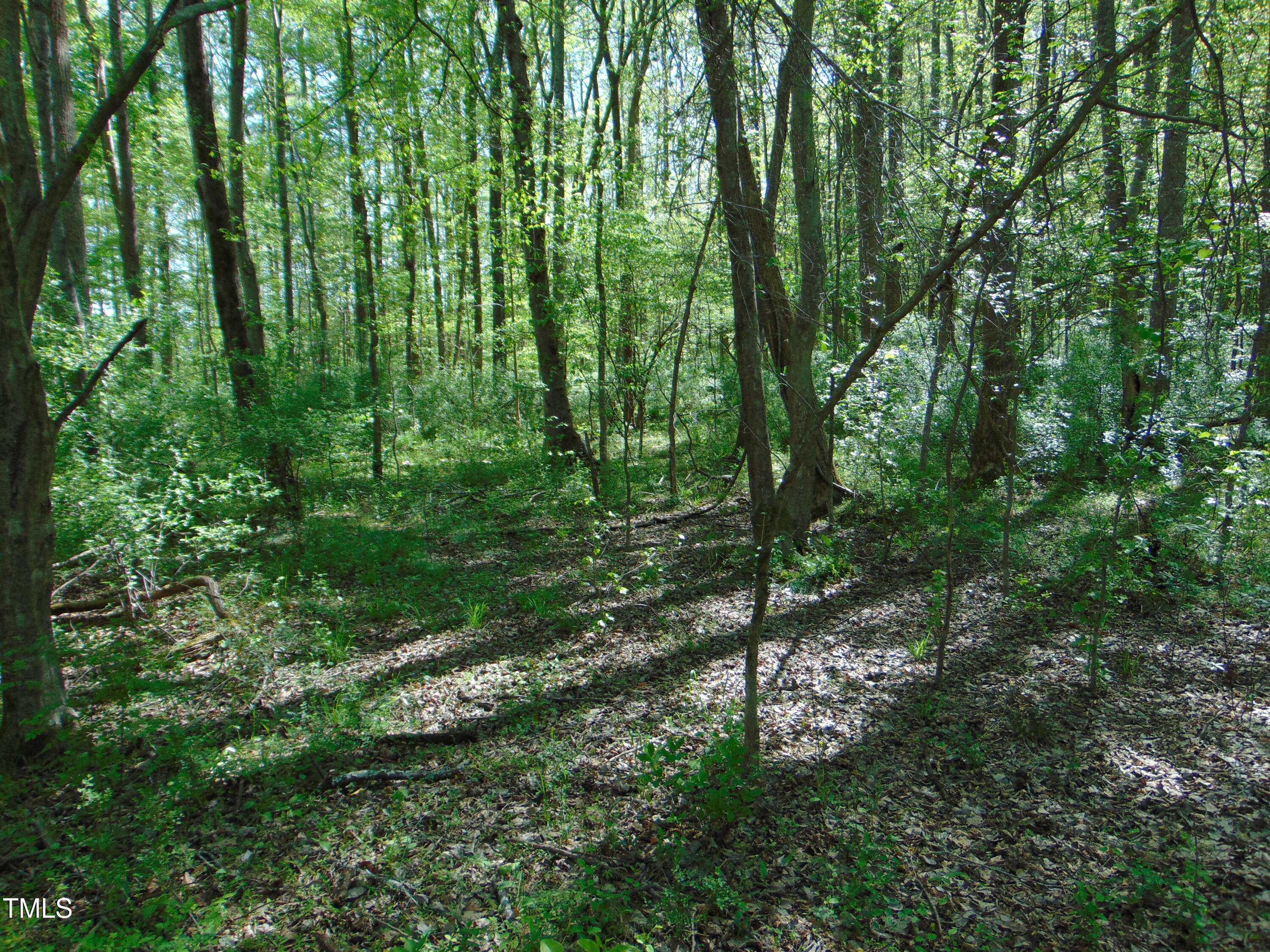 0 Saxapawhaw Bethlehem Church Rd Road Property Photo 17