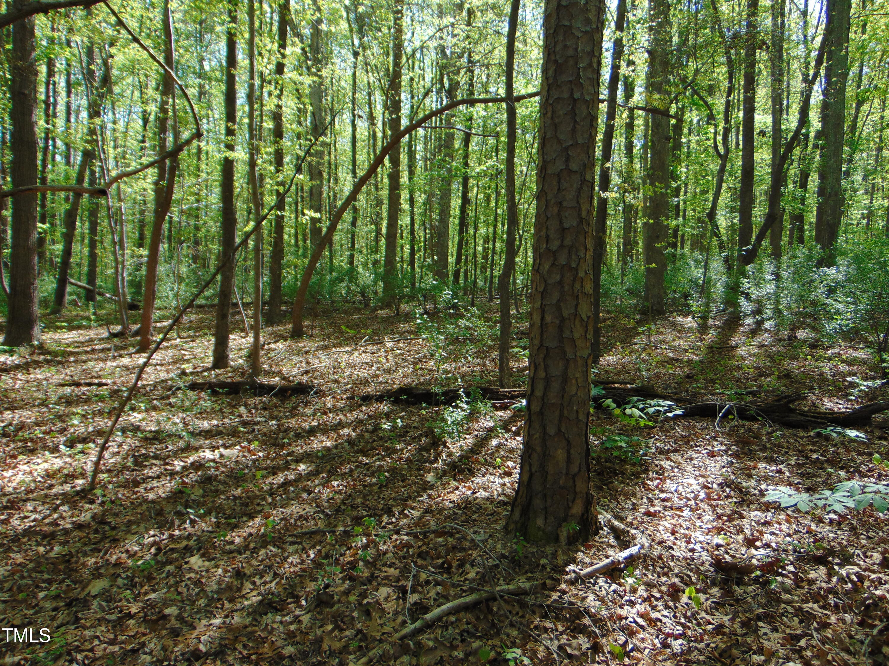 0 Saxapawhaw Bethlehem Church Rd Road Property Photo 18