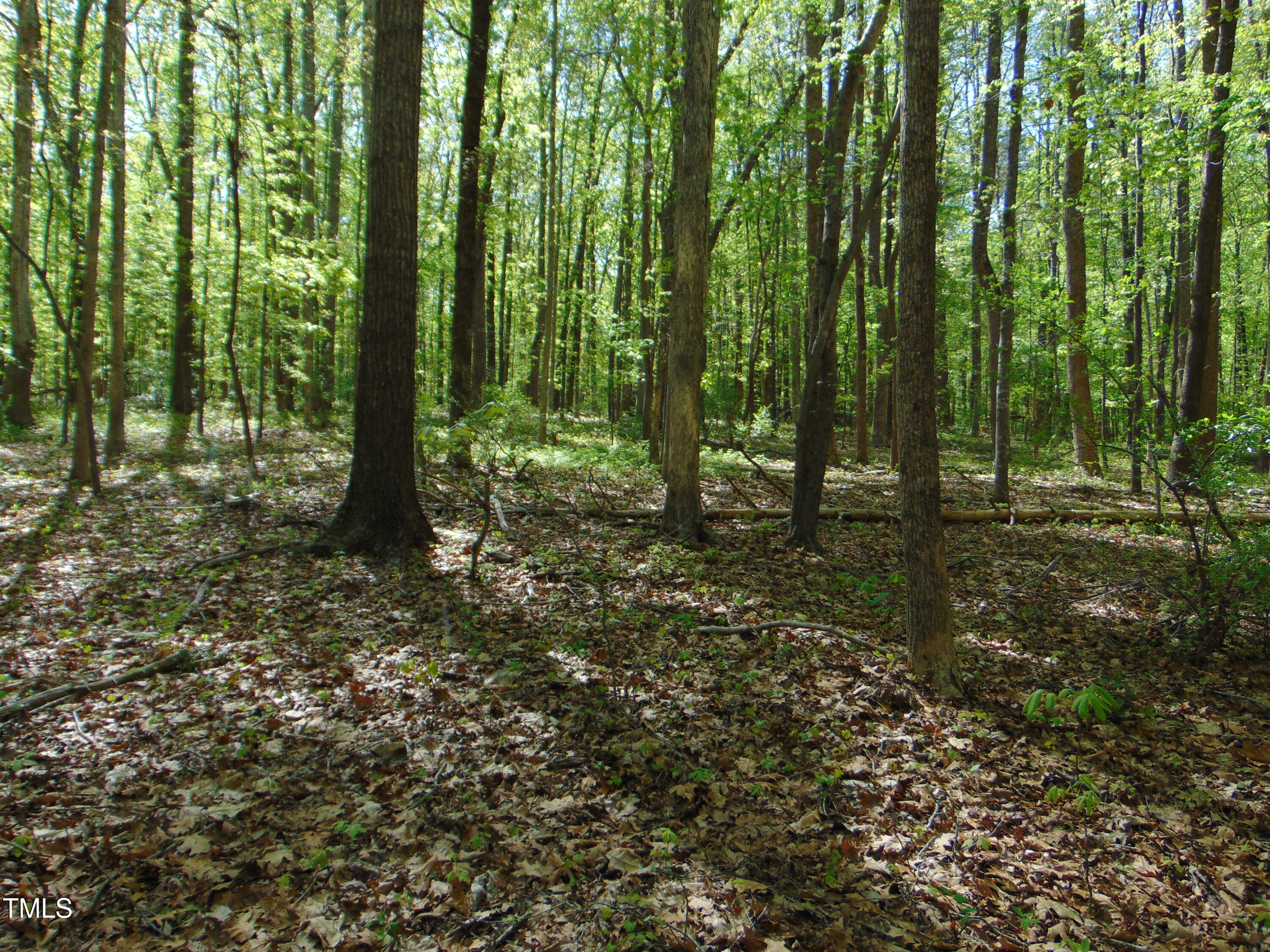 0 Saxapawhaw Bethlehem Church Rd Road Property Photo 19