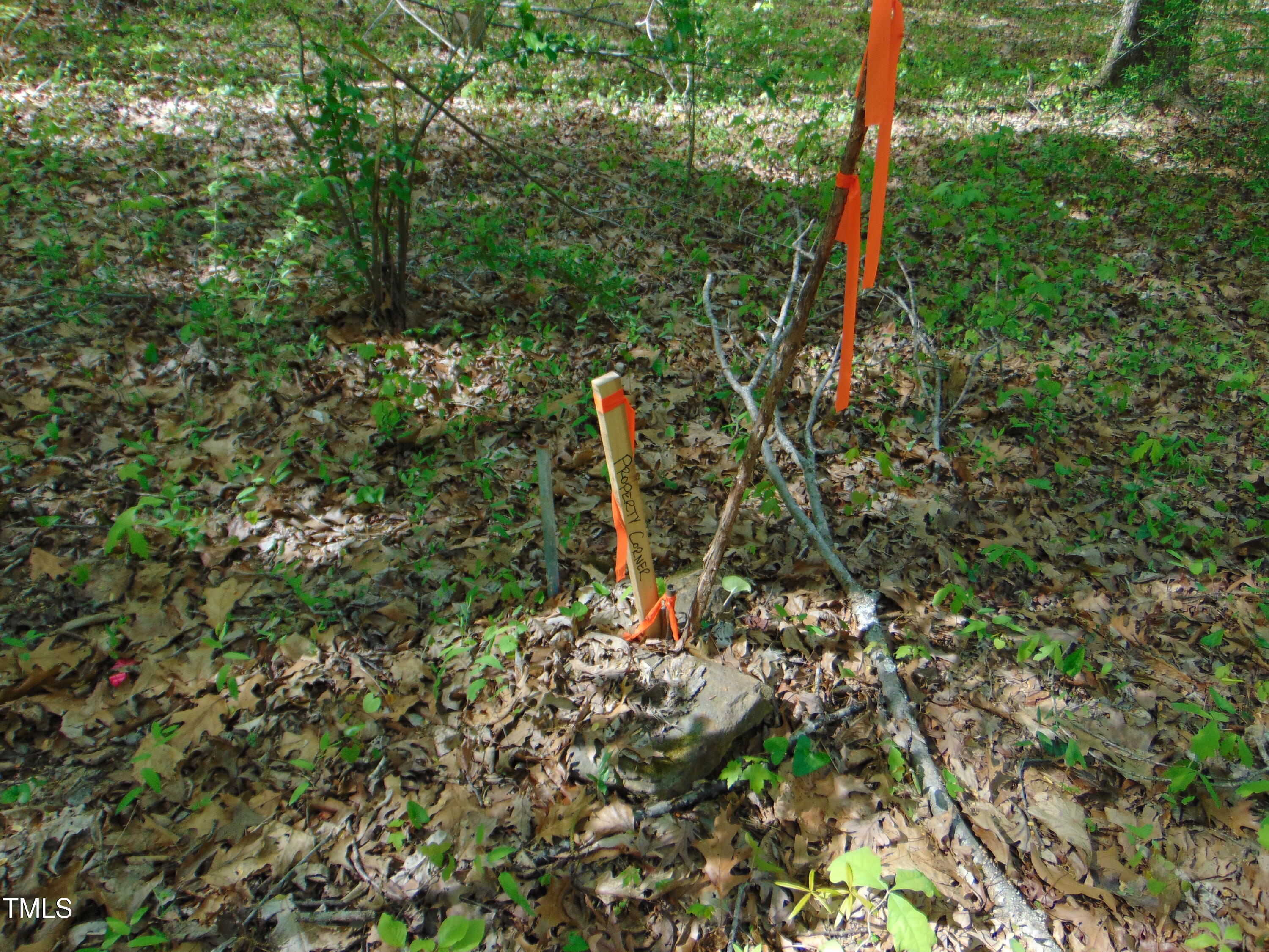 0 Saxapawhaw Bethlehem Church Rd Road Property Photo 21