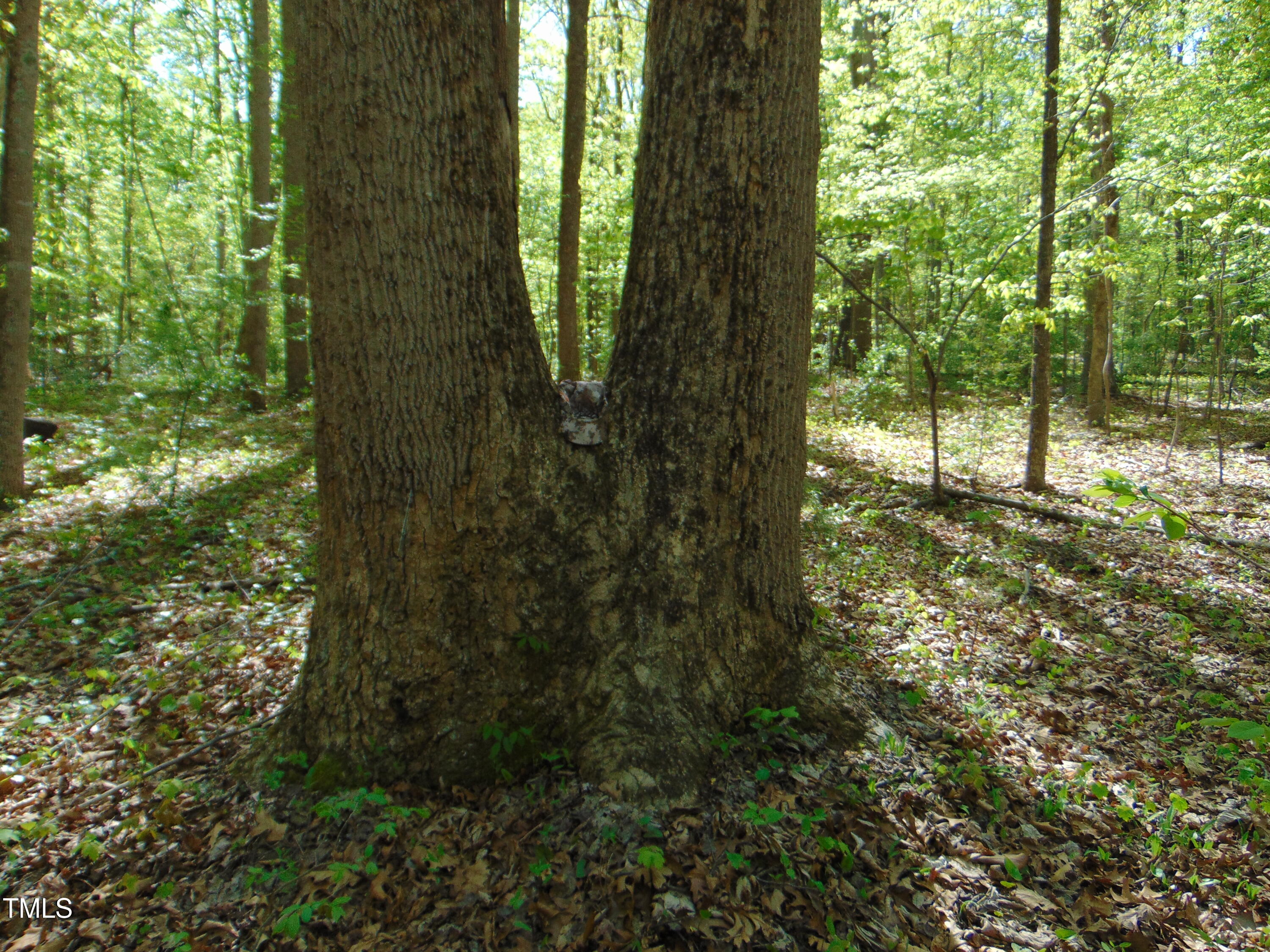 0 Saxapawhaw Bethlehem Church Rd Road Property Photo 22