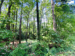 0 Phillips Drive Property Photo 2