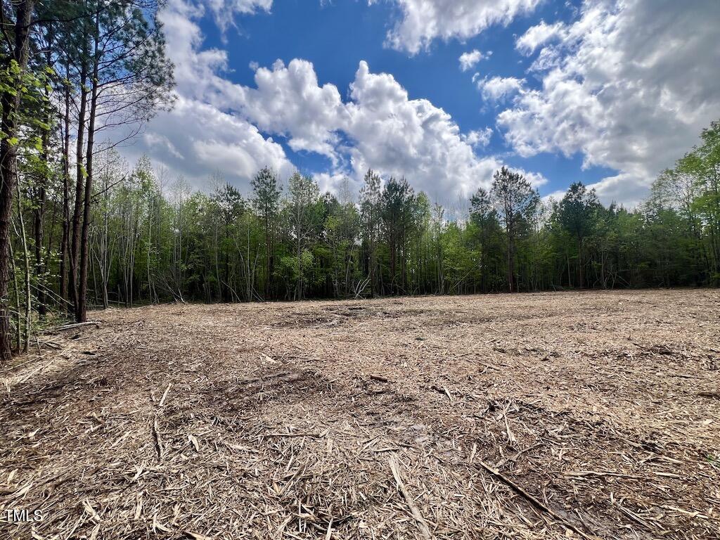 0 Red Road Property Photo 5
