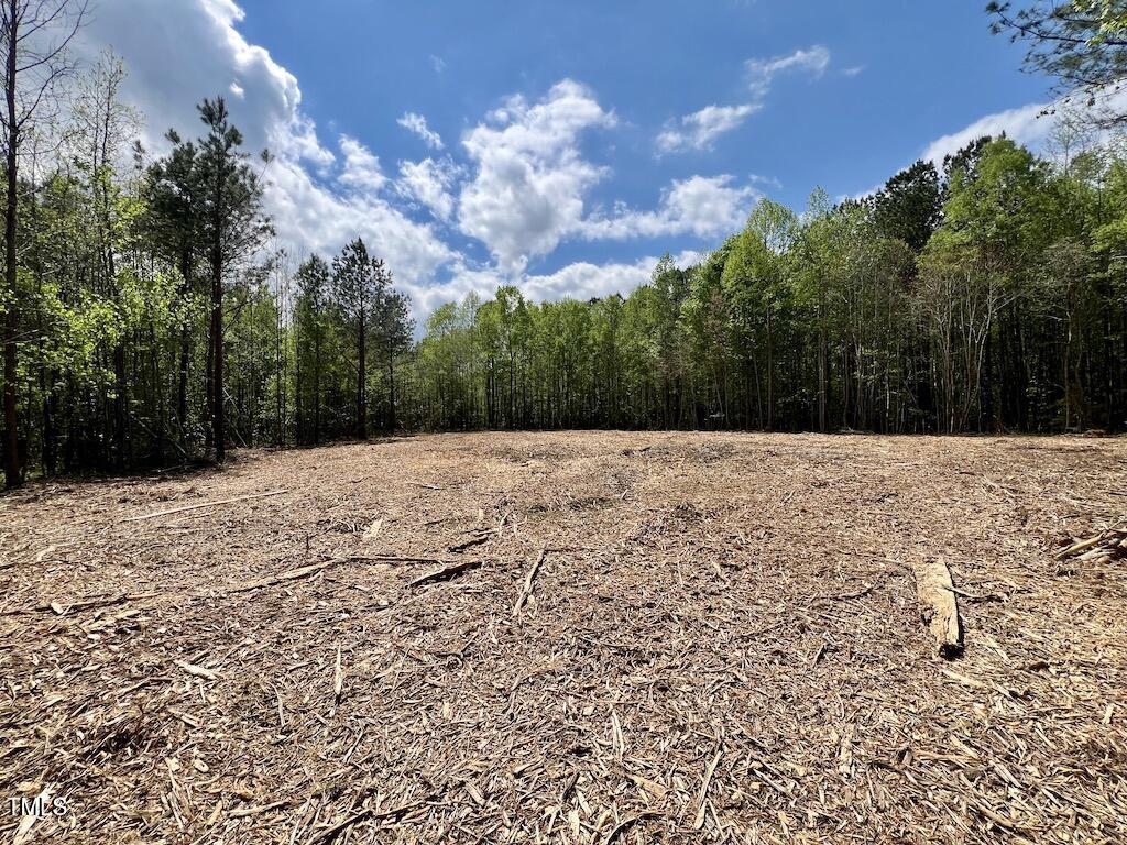 0 Red Road Property Photo 6