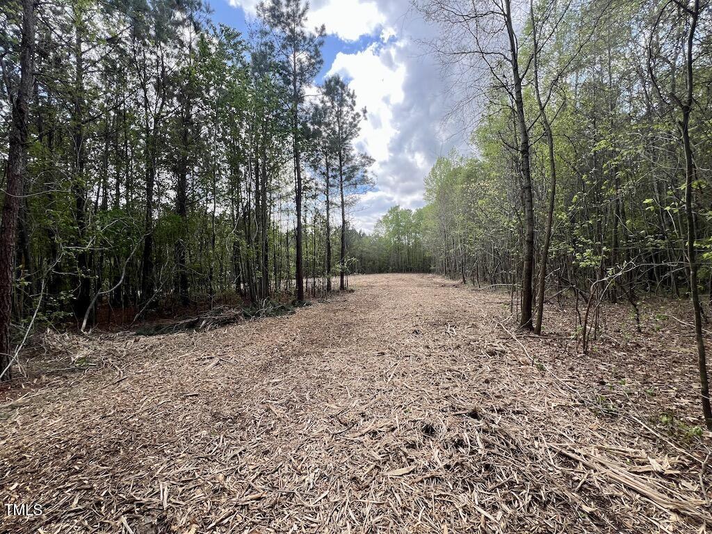 0 Red Road Property Photo 9