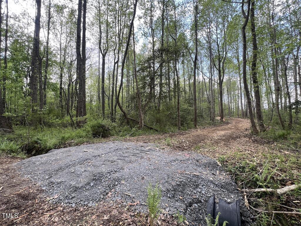 0 Red Road Property Photo 14