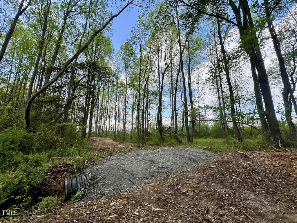 0 Red Road Property Photo 15