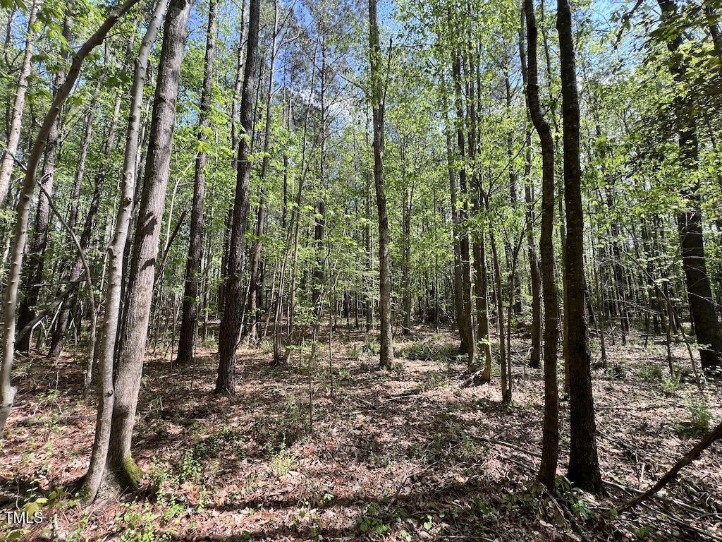 0 Red Road Property Photo 17