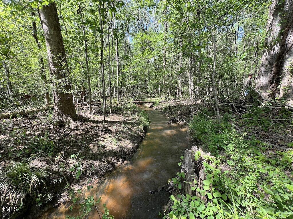 0 Red Road Property Photo 19