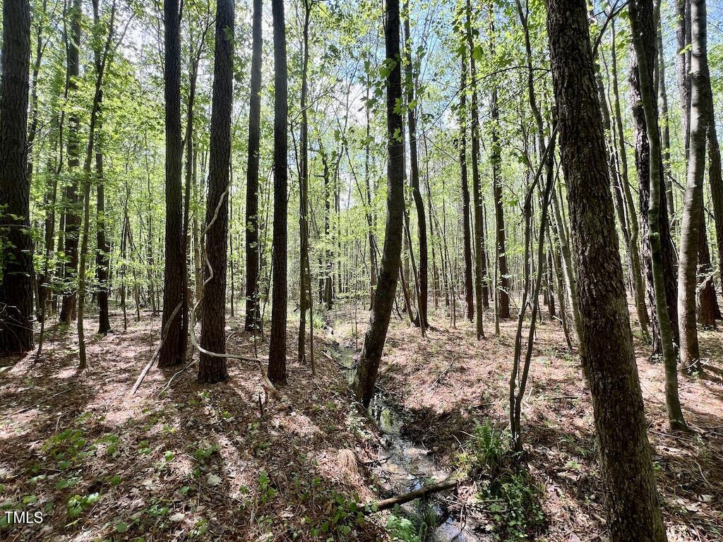0 Red Road Property Photo 21