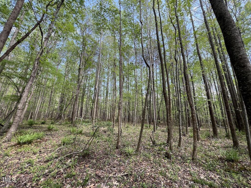0 Red Road Property Photo 24