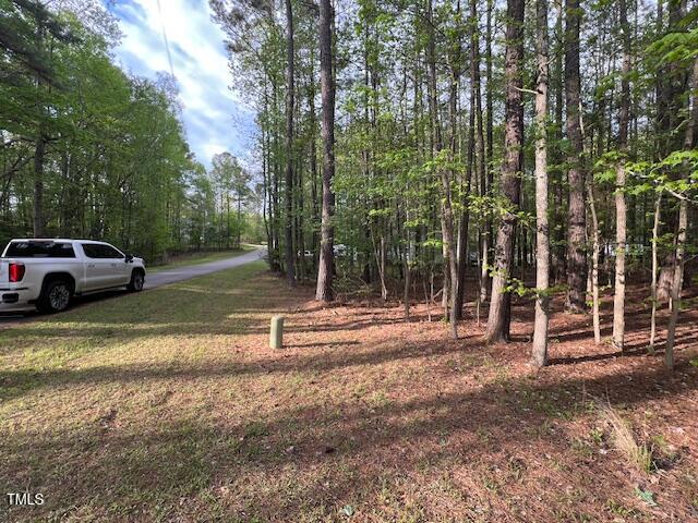 112 Buffalo Drive Property Photo 3
