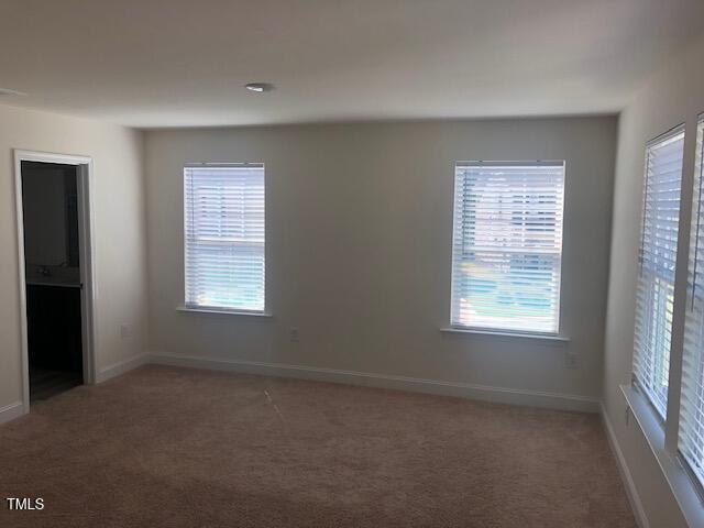 106 Clear Bead Court Property Photo 7