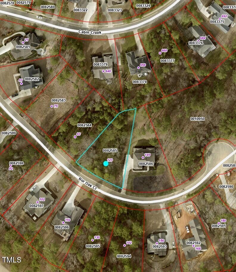 123 Bur Oak Court Property Photo 2