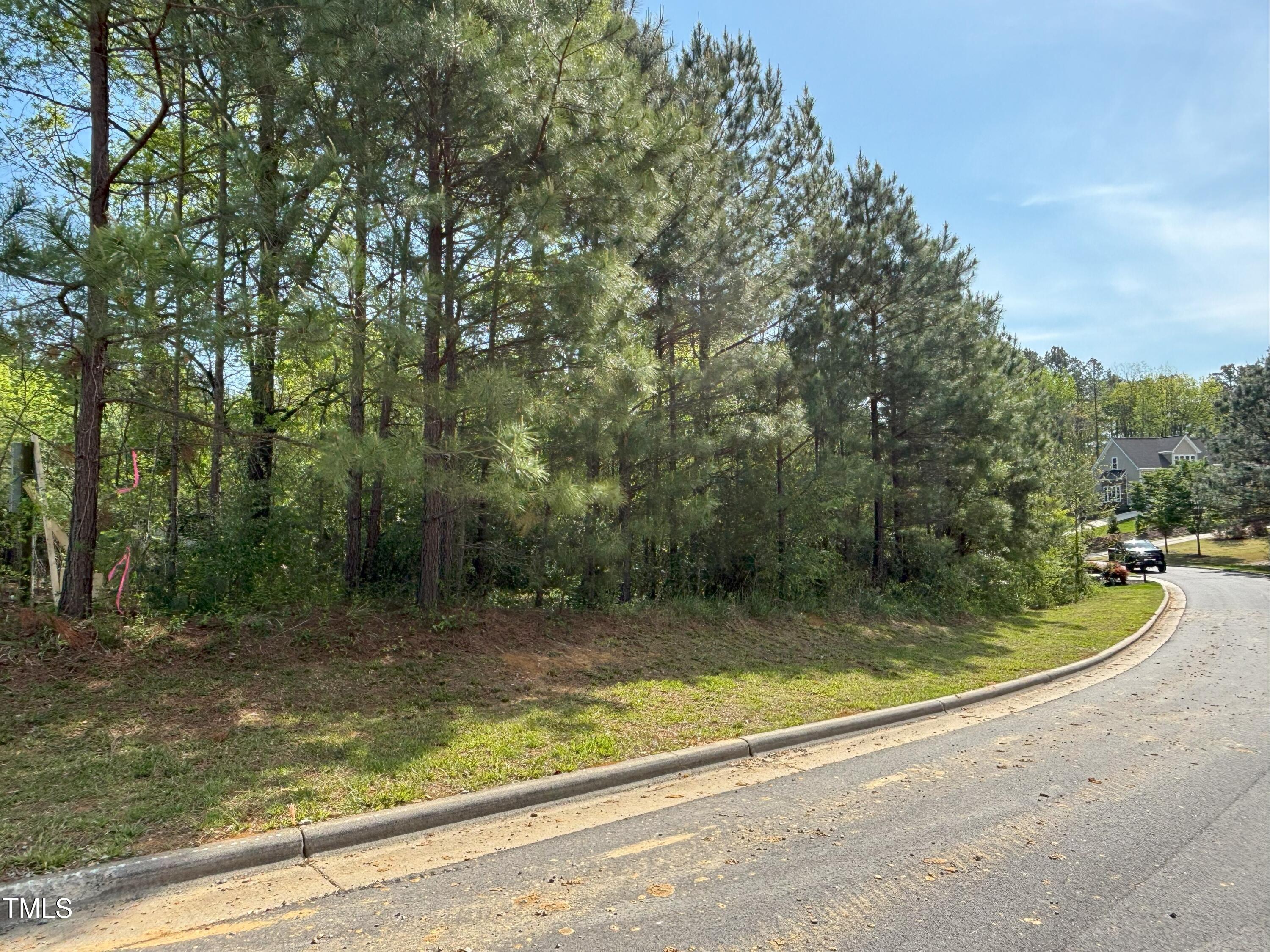123 Bur Oak Court Property Photo 4