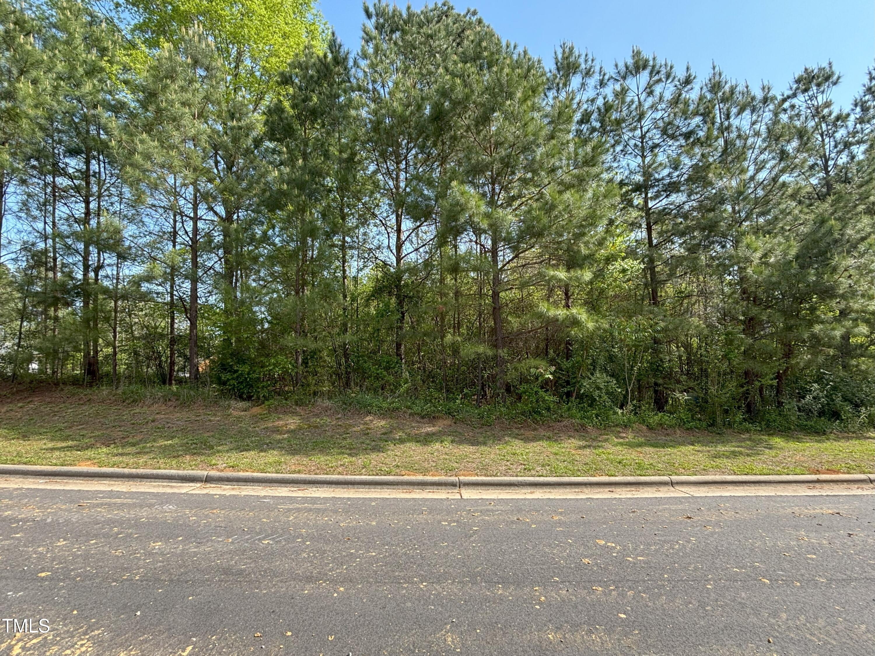 123 Bur Oak Court Property Photo 5