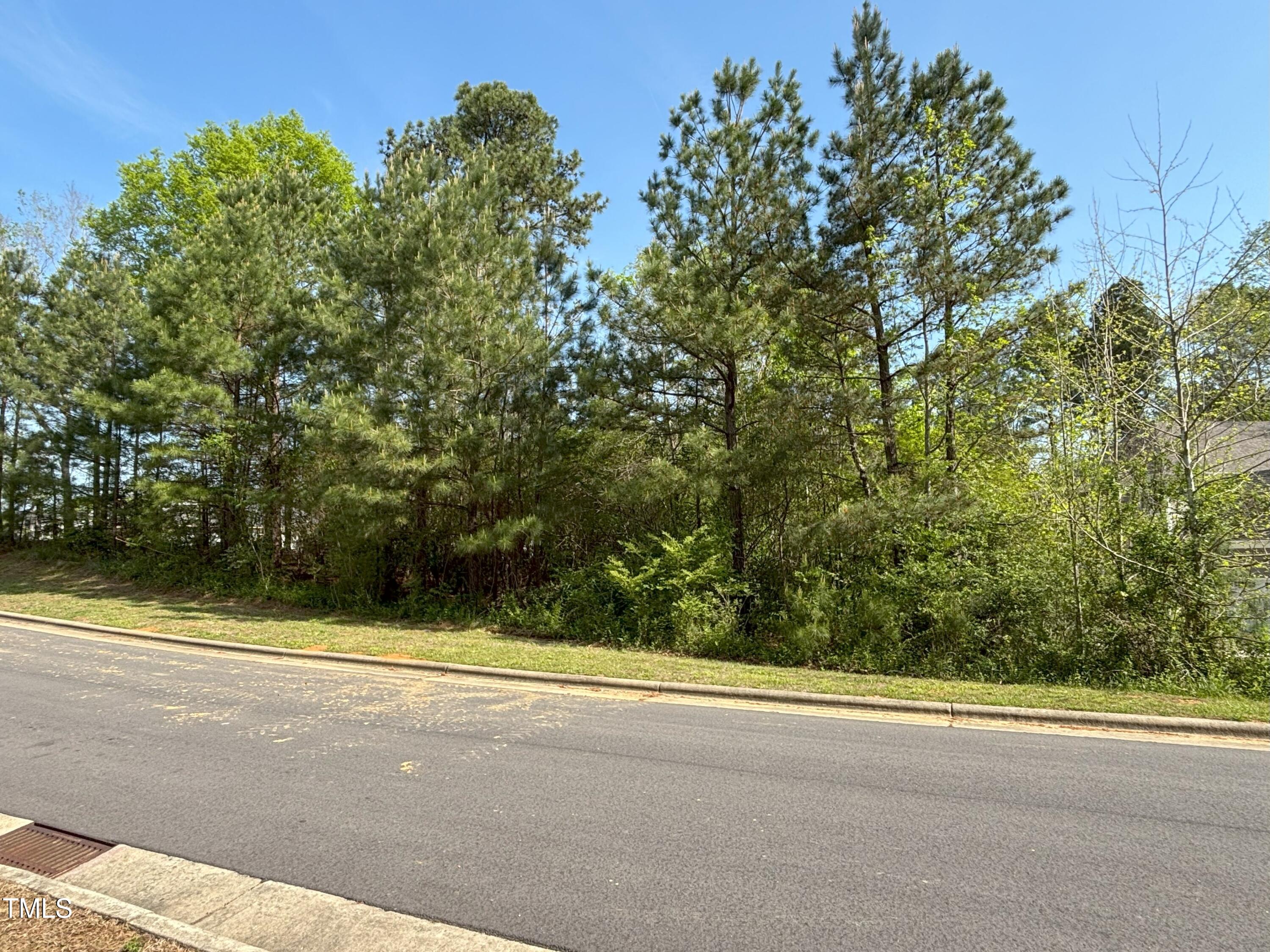 123 Bur Oak Court Property Photo 6