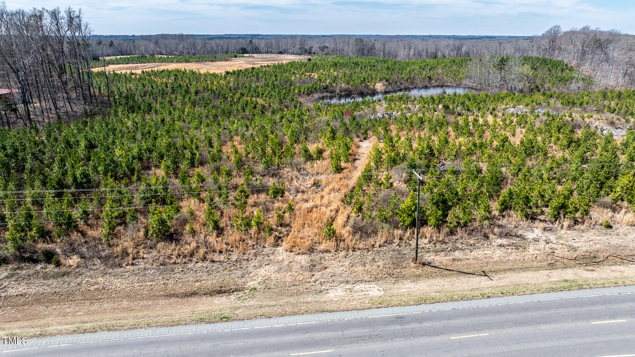 14974 Nc Hwy 86 S Property Photo 6