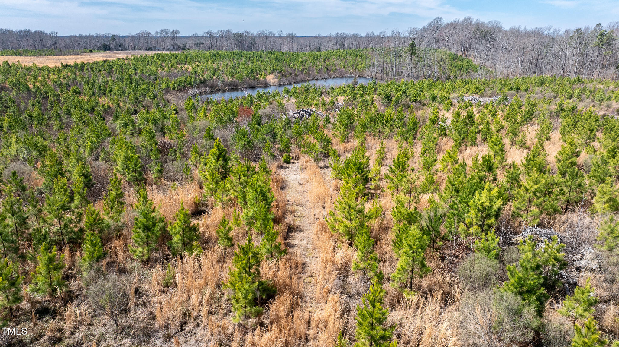14974 Nc Hwy 86 S Property Photo 14