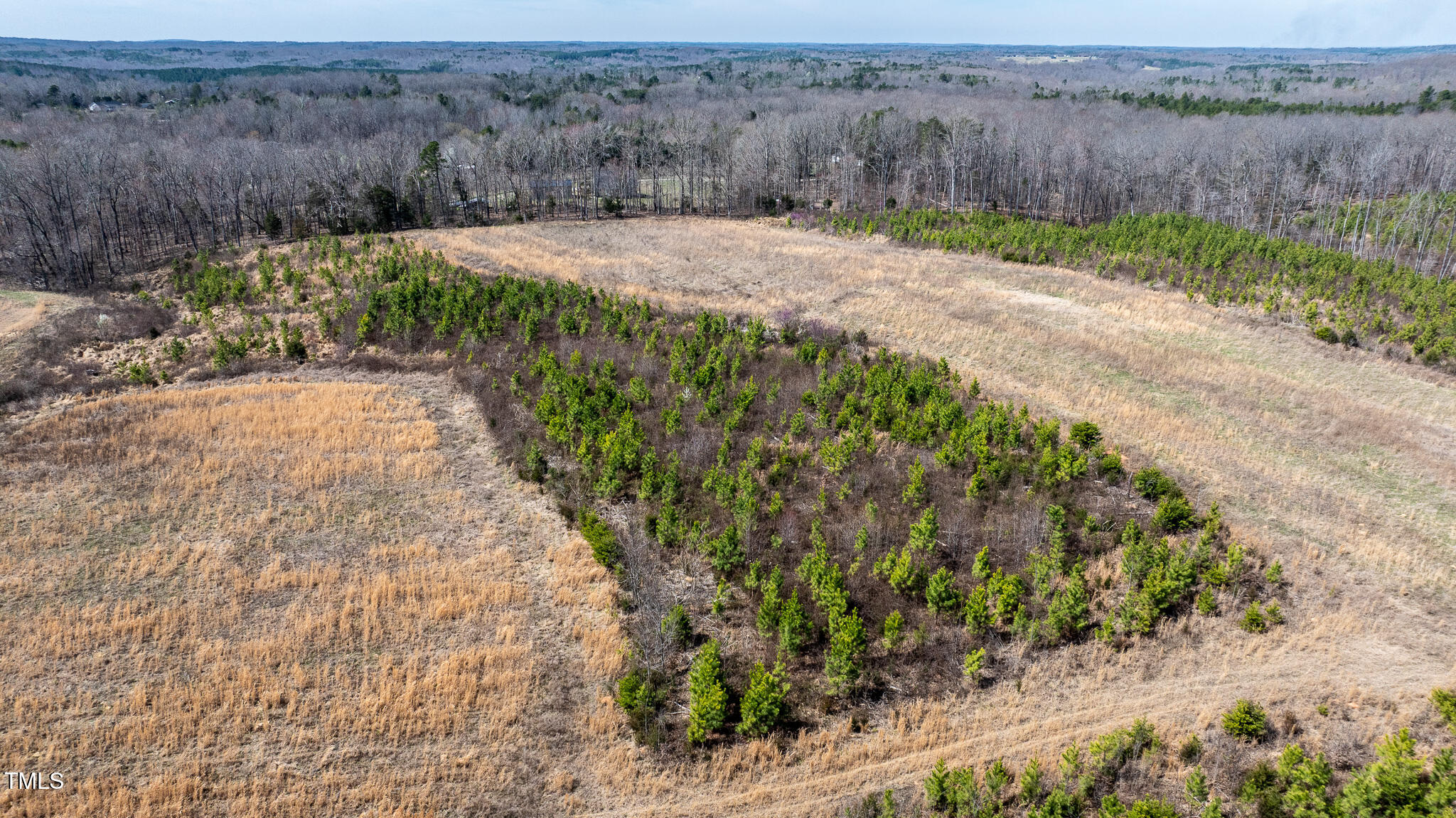 14974 Nc Hwy 86 S Property Photo 22