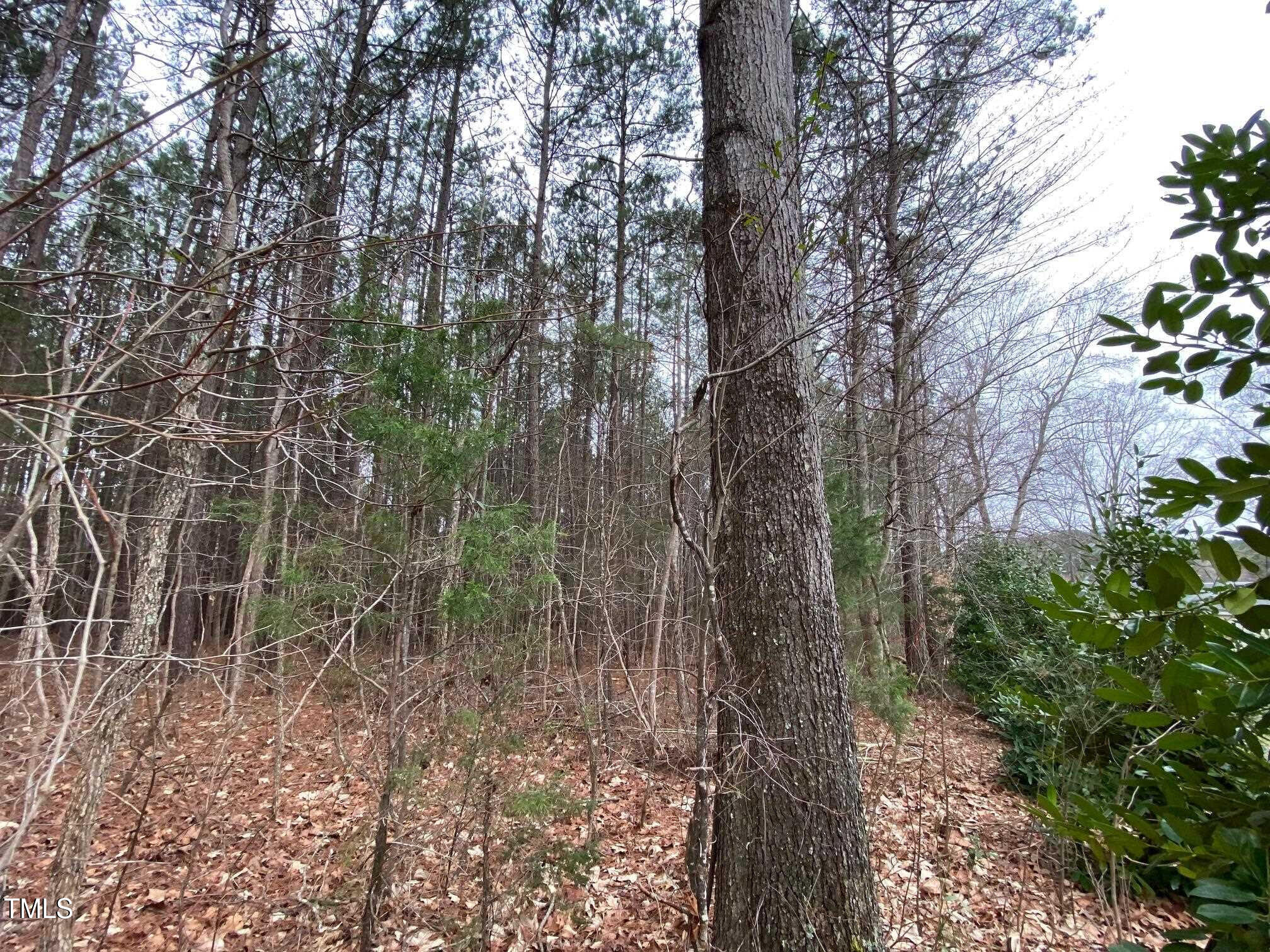 0 S Owen Lane Property Photo
