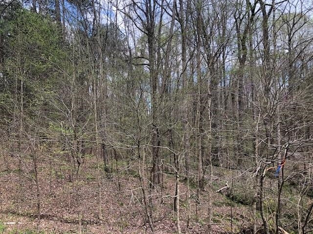 7690 Wake Forest Highway Property Photo 8