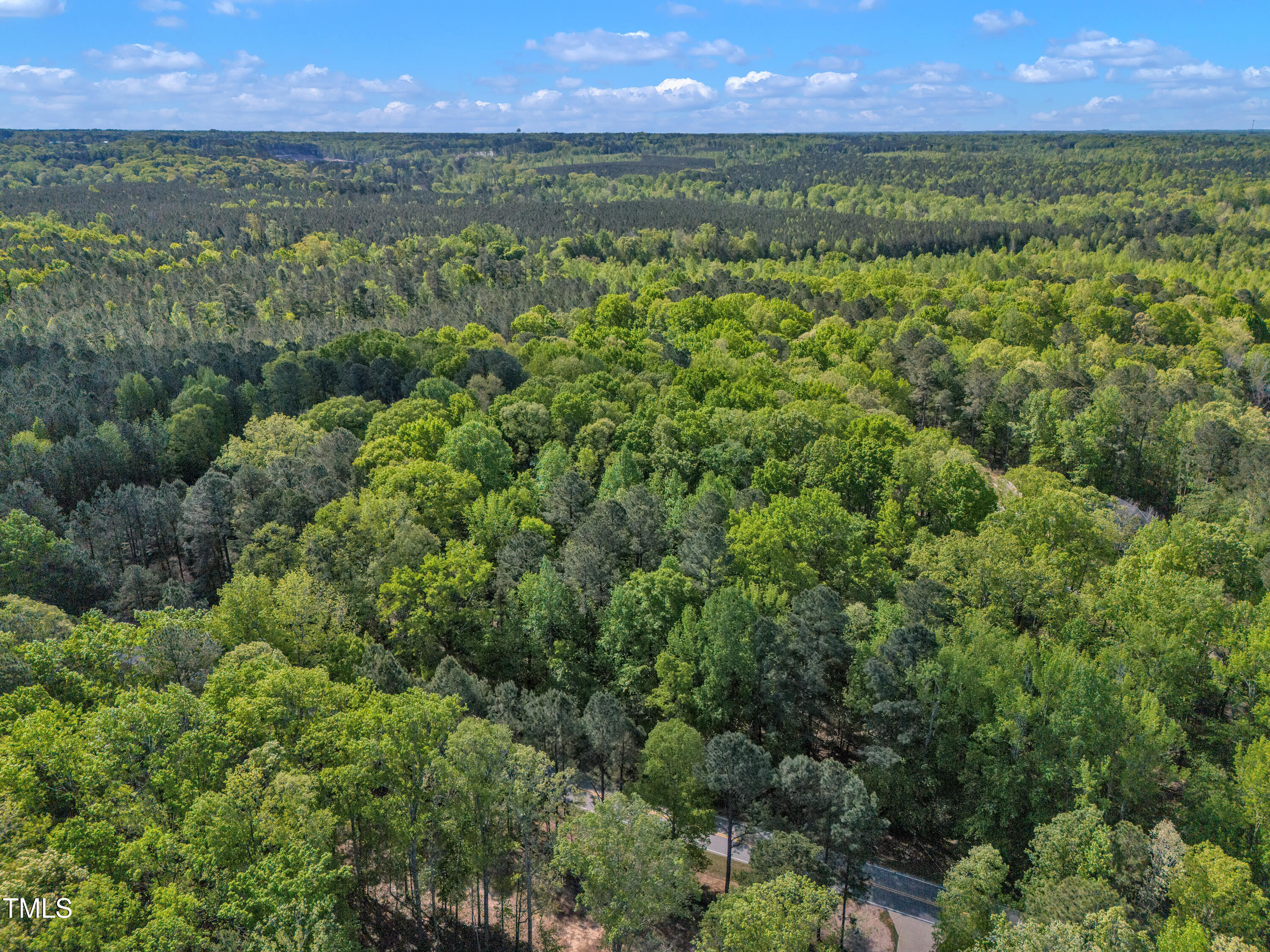 7235 Cass Holt Road Property Photo 3