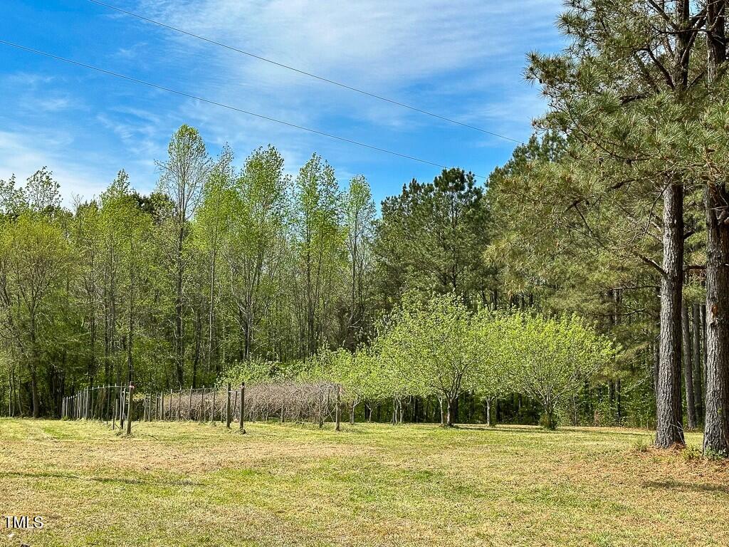 0 Rifle Range Road Property Photo