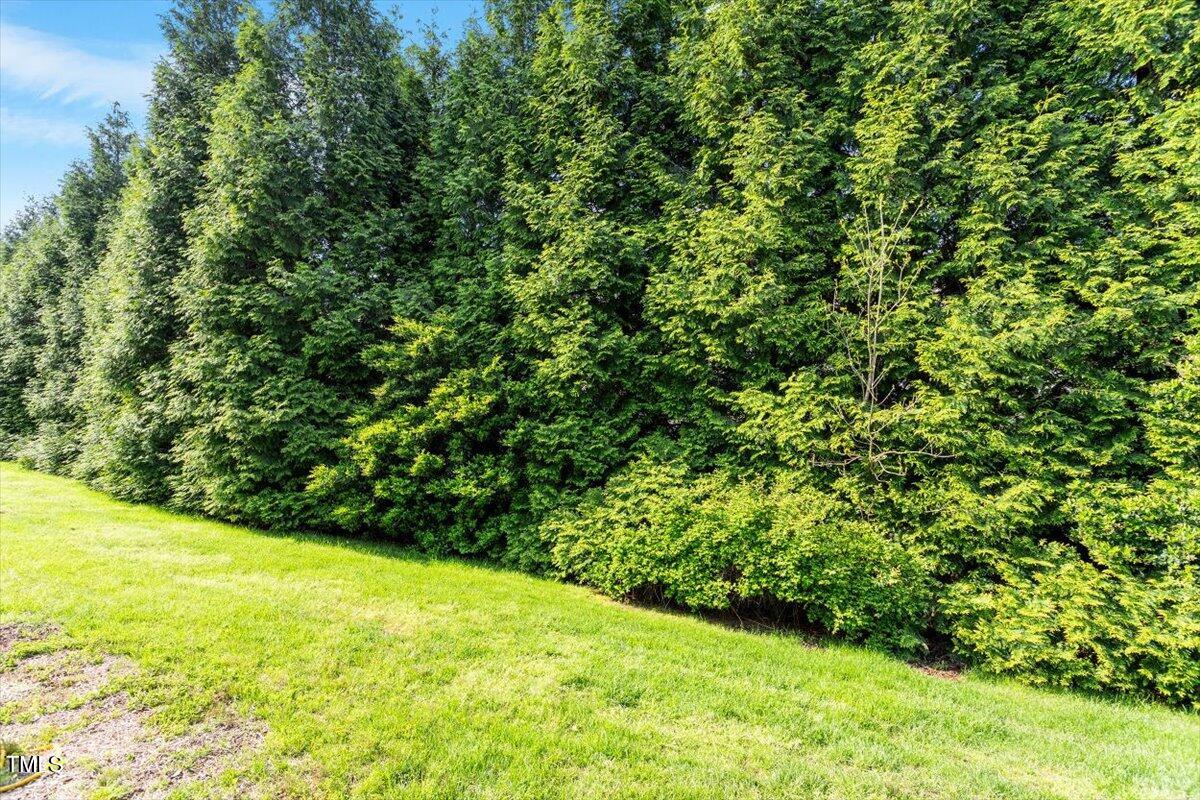135 Cedar Elm Road Property Photo 20