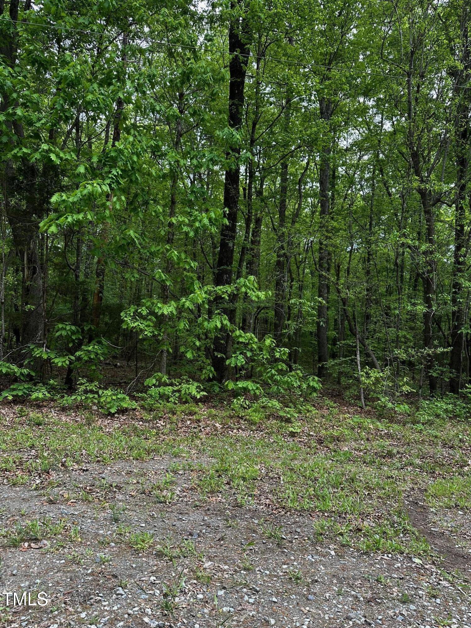 Lot 25 Wild Azalea Place Property Photo