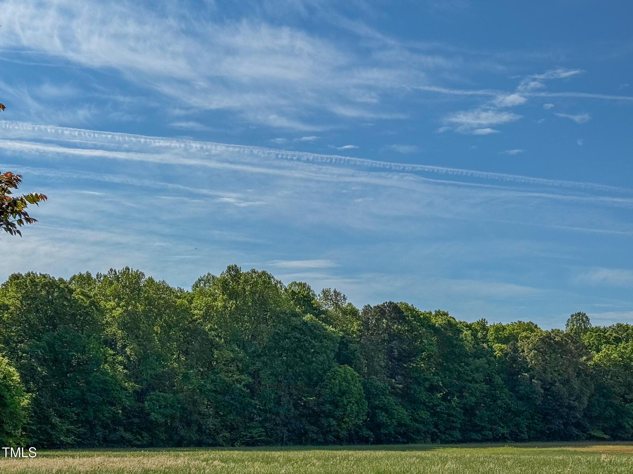 13.96 Acre Bunny Road Property Photo