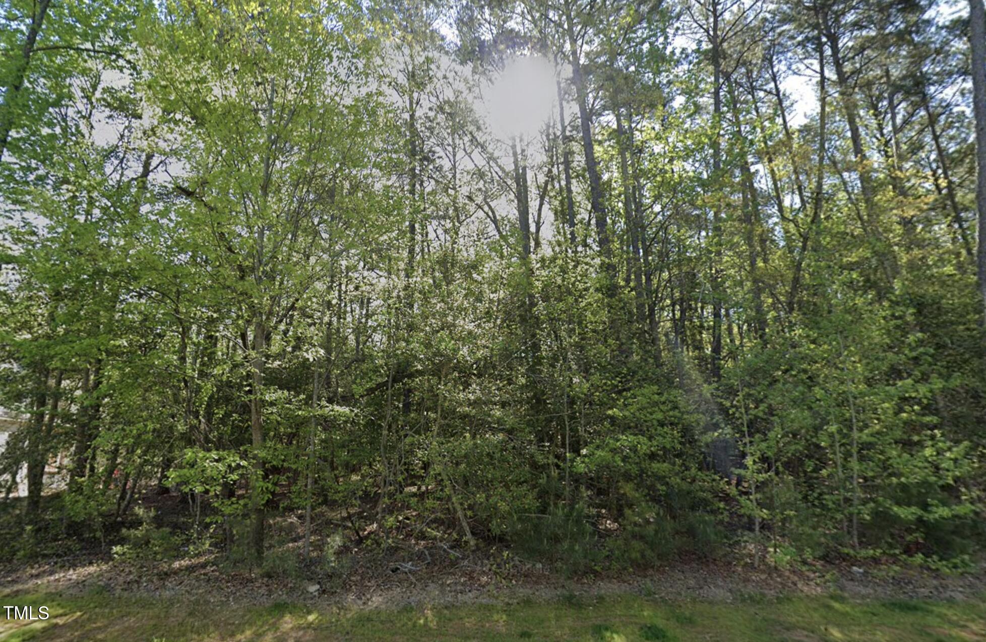 191 Bonica Creek Drive Property Photo 3