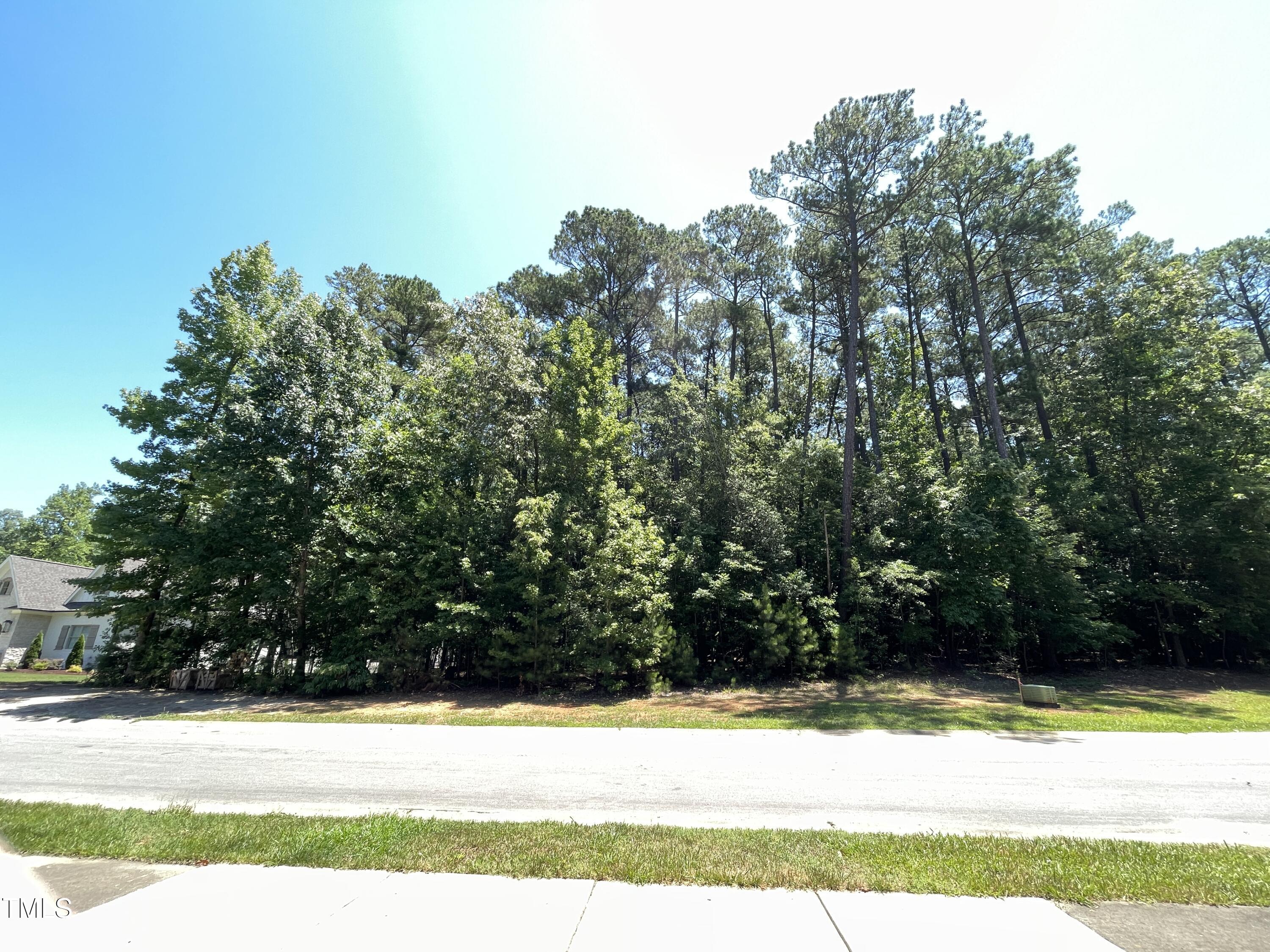 191 Bonica Creek Drive Property Photo 5
