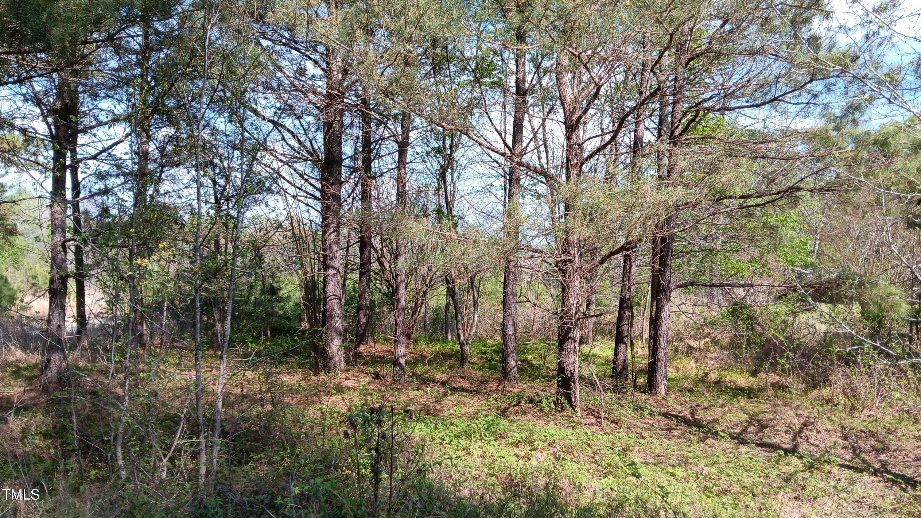 0 Cypress Creek Drive Property Photo 3