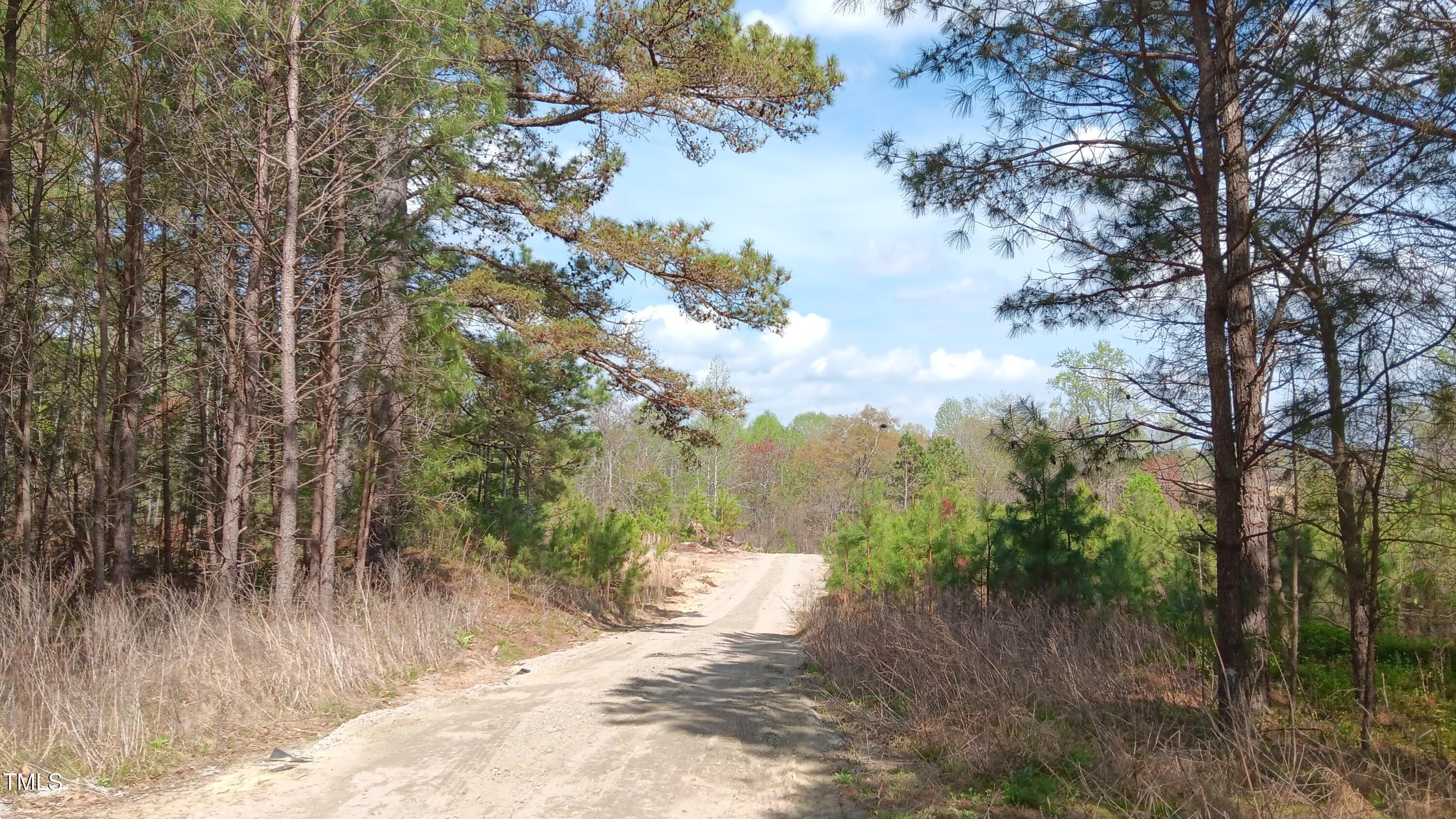 0 Cypress Creek Drive Property Photo 4