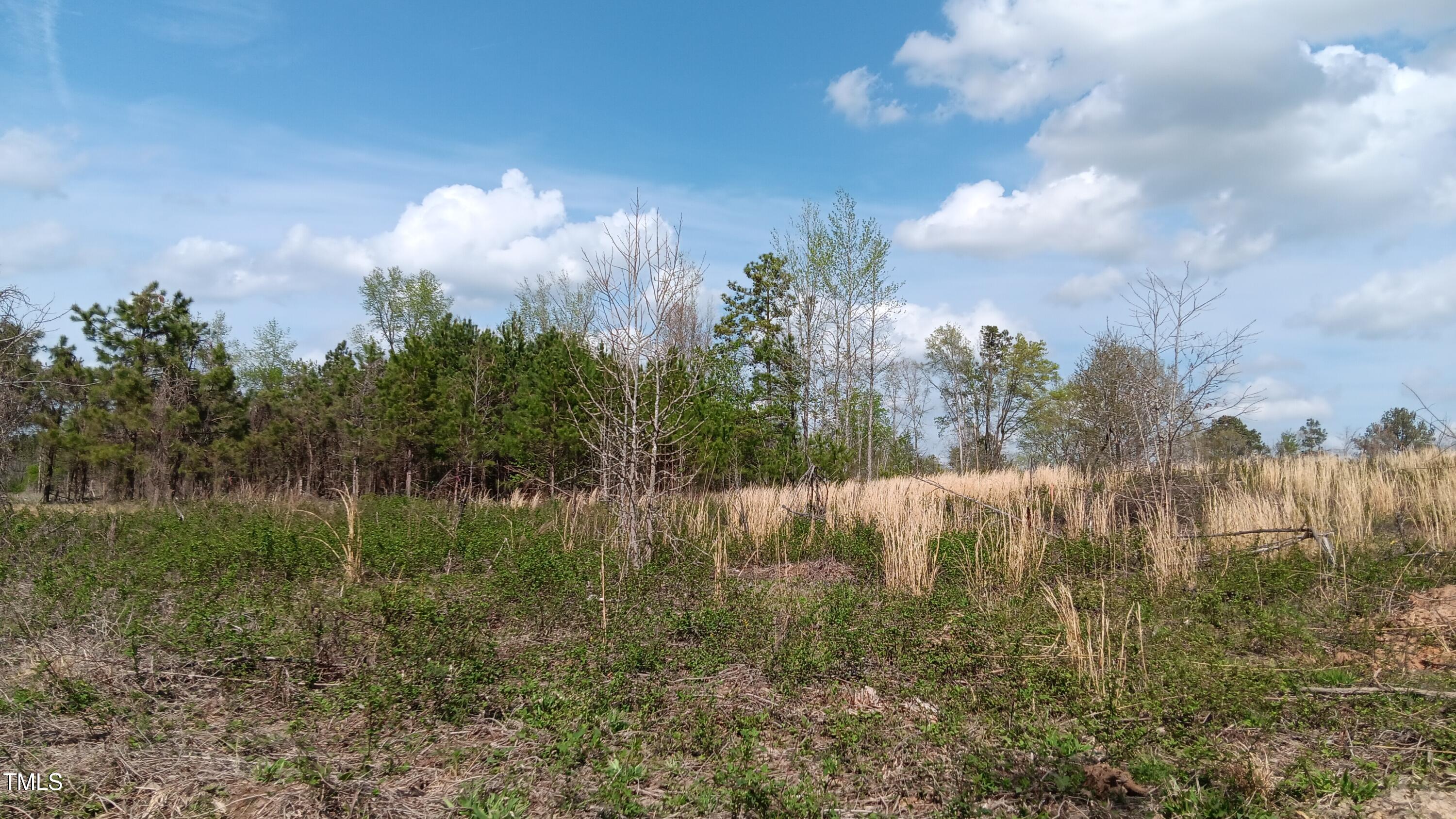 0 Cypress Creek Drive Property Photo 5