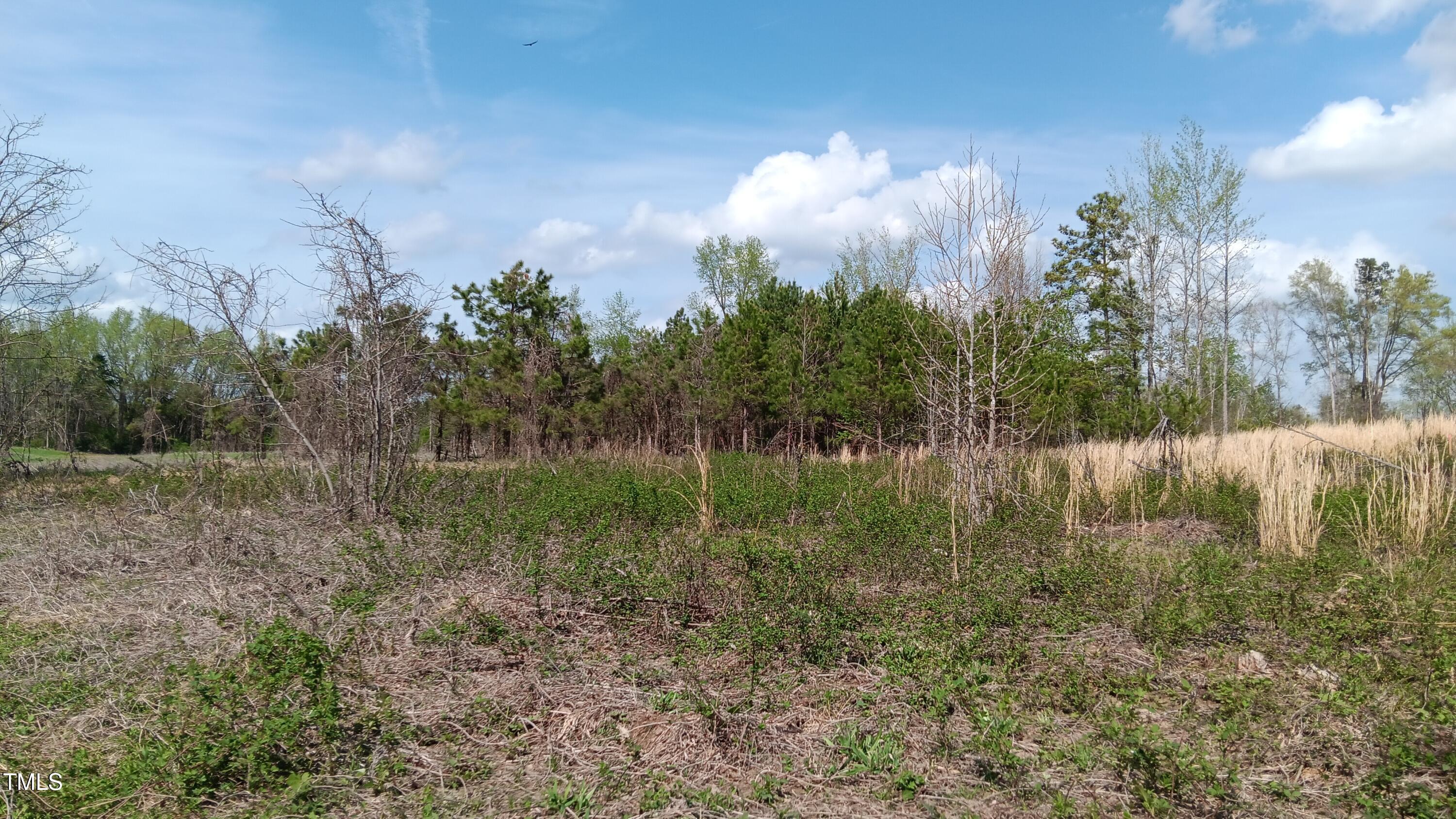 0 Cypress Creek Drive Property Photo 6