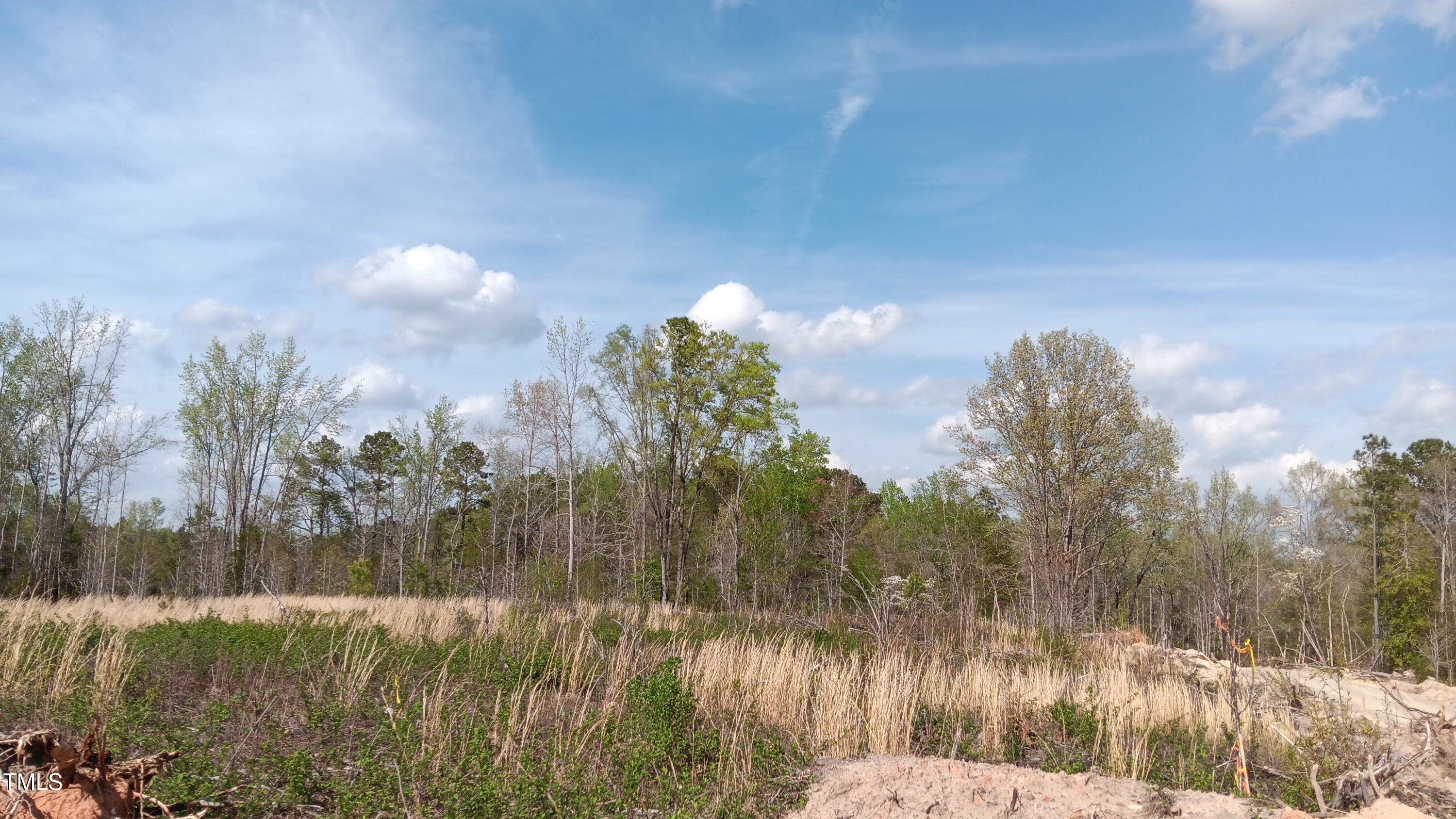 0 Cypress Creek Drive Property Photo 7