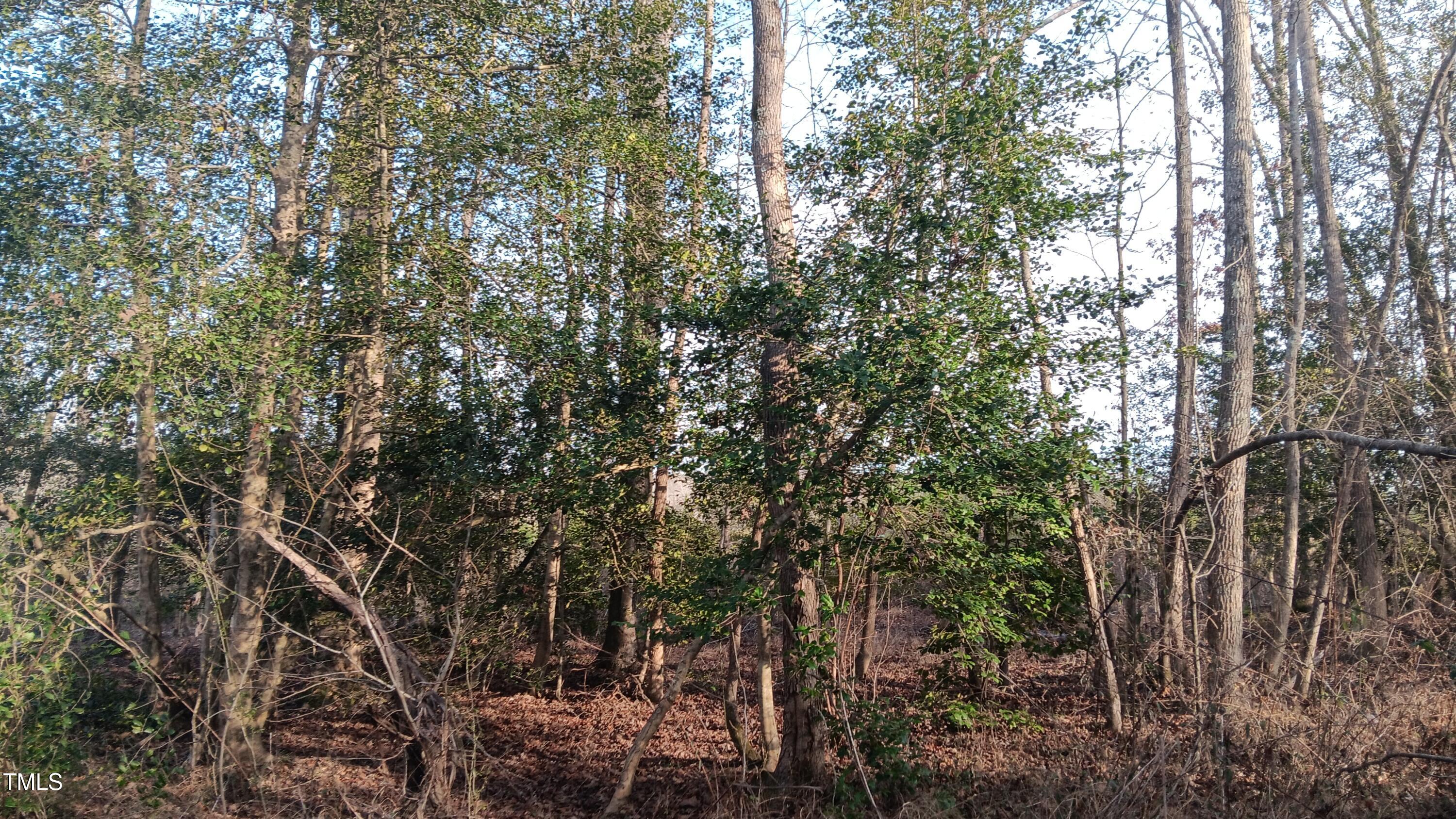 0 Cypress Creek Drive Property Photo 10