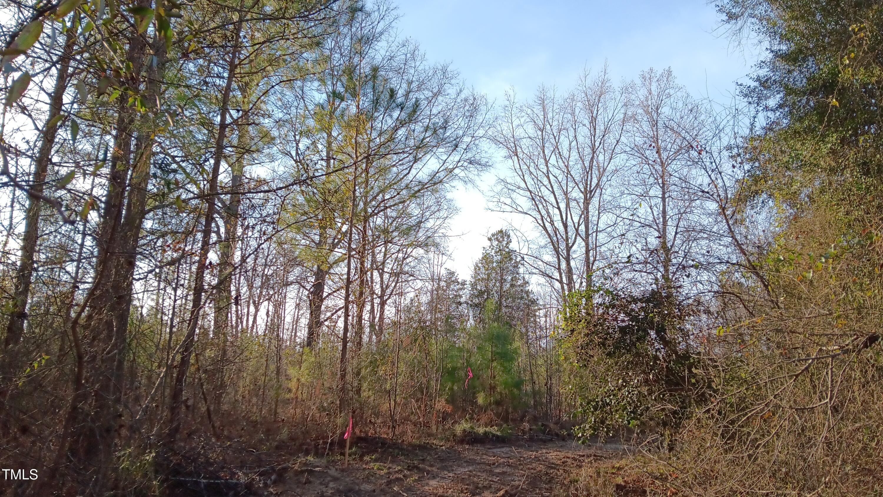 0 Cypress Creek Drive Property Photo 12