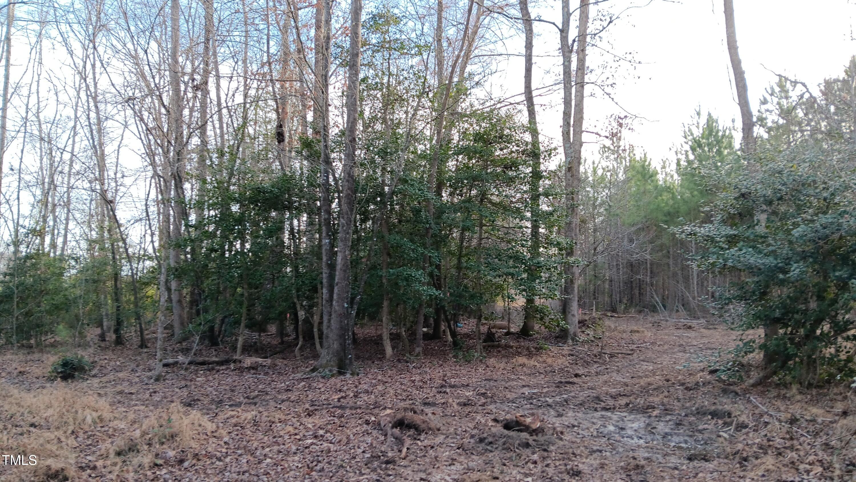 0 Cypress Creek Drive Property Photo 13