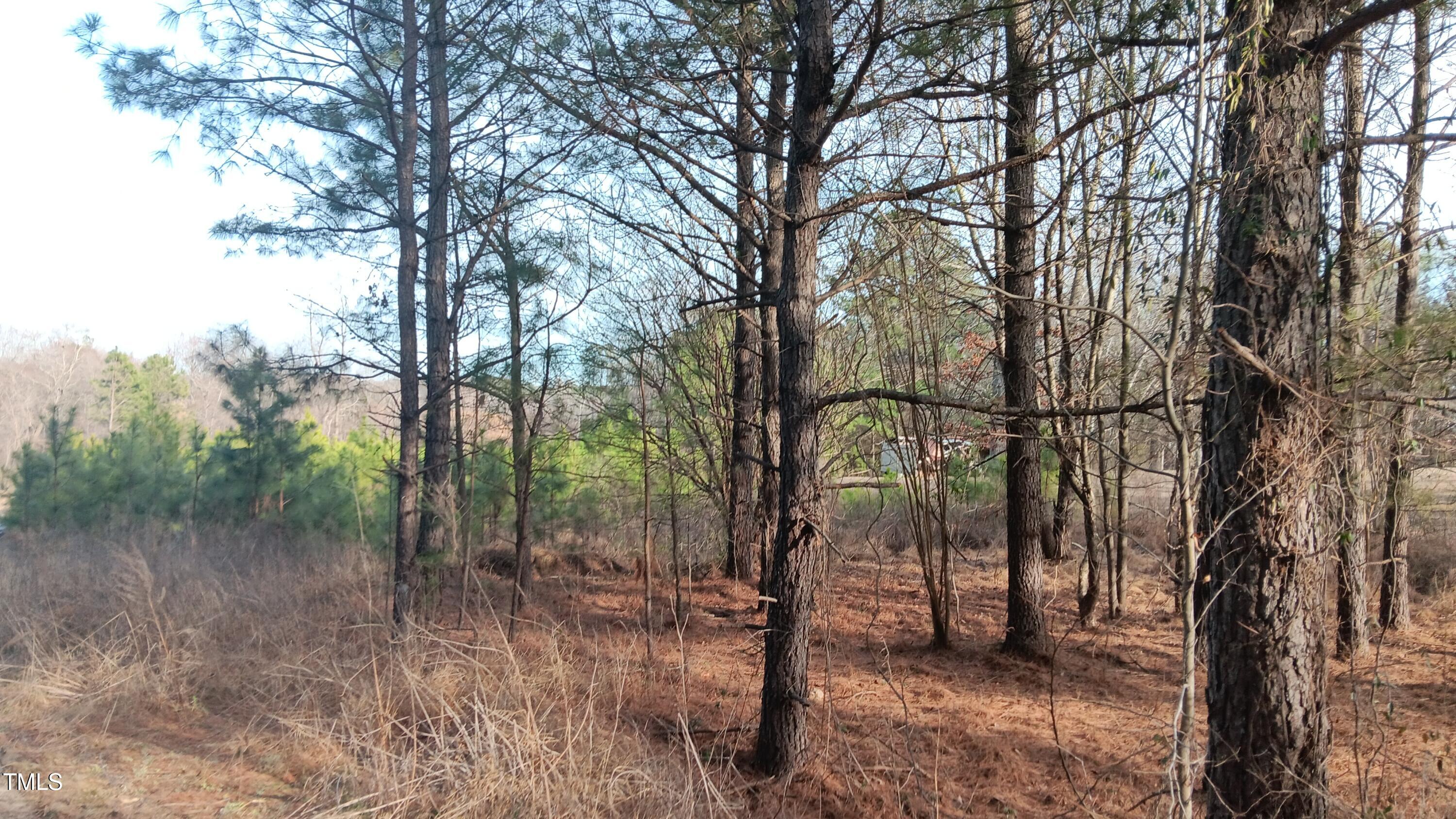 0 Cypress Creek Drive Property Photo 17